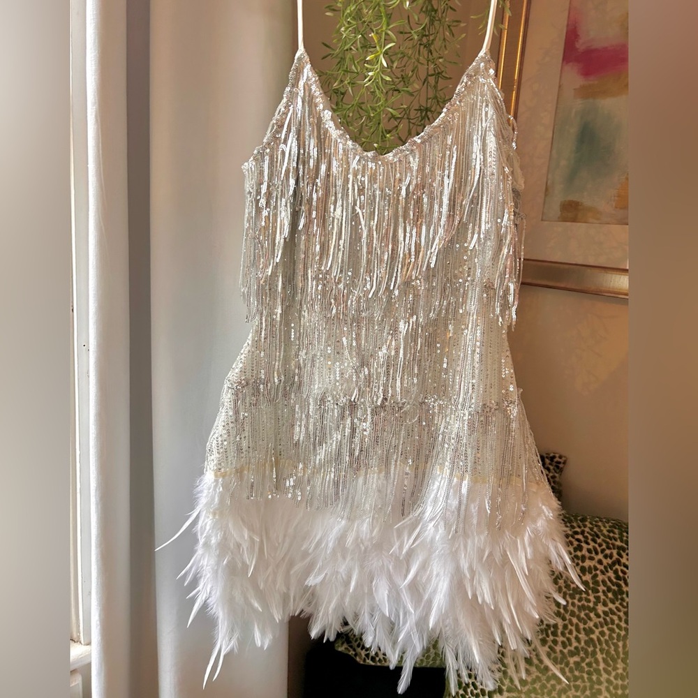 Shimmering Fringe and Feather Dress